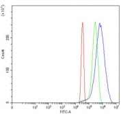 Flow cytometry testing of human HeLa cells with SND1 antibody at 1ug/million cells (blocked with goat sera); Red=cells alone, Green=isotype control, Blue= SND1 antibody.