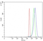 Flow cytometry testing of human HeLa cells with TDRD11 antibody at 1ug/million cells (blocked with goat sera); Red=cells alone, Green=isotype control, Blue= TDRD11 antibody.