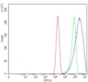 Flow cytometry testing of human Caco-2 cells with EPRS1 antibody at 1ug/million cells (blocked with goat sera); Red=cells alone, Green=isotype control, Blue= EPRS1 antibody.