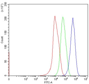 Flow cytometry testing of human HepG2 cells with SEMA3B antibody at 1ug/million cells (blocked with goat sera); Red=cells alone, Green=isotype control, Blue= SEMA3B antibody.