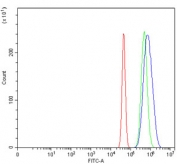 Flow cytometry testing of mouse Neuro-2a cells with Nuclear factor 1 B-type antibody at 1ug/million cells (blocked with goat sera); Red=cells alone, Green=isotype control, Blue= Nuclear factor 1 B-type antibody.