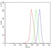 Flow cytometry testing of human HepG2 cells with Neurofibromin antibody at 1ug/million cells (blocked with goat sera); Red=cells alone, Green=isotype control, Blue= Neurofibromin antibody.