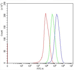Flow cytometry testing of human HepG2 cells with NF1 antibody at 1ug/million cells (blocked with goat sera); Red=cells alone, Green=isotype control, Blue= NF1 antibody.