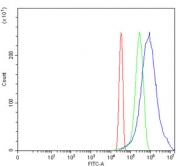 Flow cytometry testing of human HeLa cells with Pyruvate Kinase antibody at 1ug/million cells (blocked with goat sera); Red=cells alone, Green=isotype control, Blue= Pyruvate Kinase antibody.