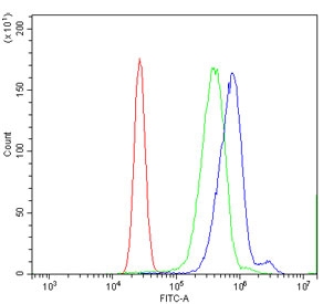 Flow cytometry testing of human K562 cells with Sentrin-specific protease 1 antibody at 1ug/million cells (blocked with goat sera); Red=cells alone, Green=isotype control, Blue= Sentrin-specific protease 1 antibody.~