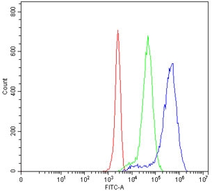 Flow cytometry testing of human 293T cells with ABCB1 antibody at 1ug/million cells (blocked with goat sera); Red=cells alone, Green=isotype control, Blue= ABCB1 antibody.