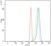 Flow cytometry testing of human ThP-1 cells with CD93 antibody at 1ug/million cells (blocked with goat sera); Red=cells alone, Green=isotype control, Blue= CD93 antibody.