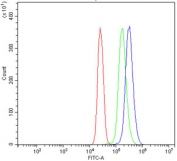 Flow cytometry testing of human U937 cells with CD93 antibody at 1ug/million cells (blocked with goat sera); Red=cells alone, Green=isotype control, Blue= CD93 antibody.