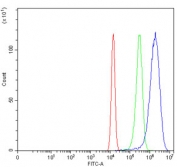 Flow cytometry testing of human U-2 OS cells with GATA6 antibody at 1ug/million cells (blocked with goat sera); Red=cells alone, Green=isotype control, Blue= GATA6 antibody.