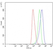 Flow cytometry testing of fixed and permeabilized human HEL cells with Monofunctional C1-tetrahydrofolate synthase antibody at 1ug/million cells (blocked with goat sera); Red=cells alone, Green=isotype control, Blue= Monofunctional C1-tetrahydrofolate synthase antibody.