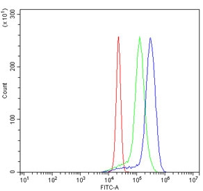Flow cytometry testing of human U937 cells with Myosin 6 antibody at 1ug/million cells (blocked with goat sera); Red=cells alone, Green=isotype control, Blue= Myosin 6 antibody.