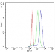 Flow cytometry testing of human U937 cells with Myosin 6 antibody at 1ug/million cells (blocked with goat sera); Red=cells alone, Green=isotype control, Blue= Myosin 6 antibody.