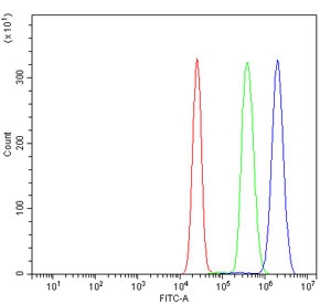 Flow cytometry testing of human K562 cells with BTBD14B antibody at 1ug/million cells (blocked with goat sera); Red=cells alone, Green=isotype control, Blue= BTBD14B antibody.