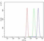 Flow cytometry testing of human K562 cells with BTBD14B antibody at 1ug/million cells (blocked with goat sera); Red=cells alone, Green=isotype control, Blue= BTBD14B antibody.