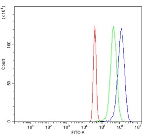 Flow cytometry testing of human U-251 cells with POLA2 antibody at 1ug/million cells (blocked with goat sera); Red=cells alone, Green=isotype control, Blue= POLA2 antibody.~