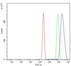 Flow cytometry testing of human K562 cells with Prospero homeobox protein 1 antibody at 1ug/million cells (blocked with goat sera); Red=cells alone, Green=isotype control, Blue= Prospero homeobox protein 1 antibody.~