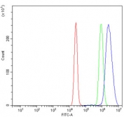 Flow cytometry testing of human K562 cells with Prospero homeobox protein 1 antibody at 1ug/million cells (blocked with goat sera); Red=cells alone, Green=isotype control, Blue= Prospero homeobox protein 1 antibody.