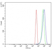 Flow cytometry testing of human U-251 cells with CYP8A1 antibody at 1ug/million cells (blocked with goat sera); Red=cells alone, Green=isotype control, Blue= CYP8A1 antibody.