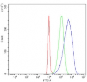 Flow cytometry testing of human HL60 cells with RPLP0 antibody at 1ug/million cells (blocked with goat sera); Red=cells alone, Green=isotype control, Blue= RPLP0 antibody.