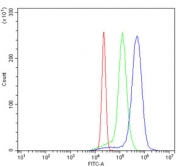 Flow cytometry testing of fixed and permeabilized human U937 cells with RPS2 antibody at 1ug/million cells (blocked with goat sera); Red=cells alone, Green=isotype control, Blue= RPS2 antibody.