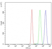 Flow cytometry testing of human K562 cells with RPS6KA4 antibody at 1ug/million cells (blocked with goat sera); Red=cells alone, Green=isotype control, Blue= RPS6KA4 antibody.