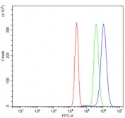 Flow cytometry testing of human K562 cells with SREBP2 antibody at 1ug/million cells (blocked with goat sera); Red=cells alone, Green=isotype control, Blue= SREBP2 antibody.