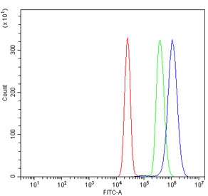 Flow cytometry testing of human K562 cells with SREBP2 antibody at 1ug/million cells (blocked with goat sera); Red=cells alone, Green=isotype control, Blue= SREBP2 antibody.