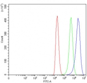 Flow cytometry testing of human 293T cells with Sorcin antibody at 1ug/million cells (blocked with goat sera); Red=cells alone, Green=isotype control, Blue= Sorcin antibody.