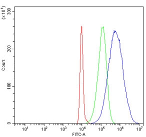 Flow cytometry testing of human HL60 cells with HSP75 antibody at 1ug/million cells (blocked with goat sera); Red=cells alone, Green=isotype control, Blue= HSP75 antibody.~