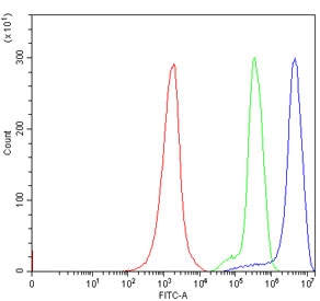 Flow cytometry testing of human Jurkat cells with ATG4B antibody at 1ug/million cells (blocked with goat sera); Red=cells alone, Green=isotype control, Blue= ATG4B antibody.~