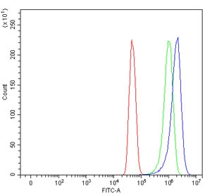 Flow cytometry testing of human U-251 cells with ATP6V1A antibody at 1ug/million cells (blocked with goat sera); Red=cells alone, Green=isotype control, Blue= ATP6V1A antibody.