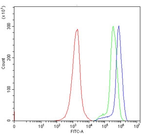 Flow cytometry testing of human JK-1 cells with ATP6V1A antibody at 1ug/million cells (blocked with goat sera); Red=cells alone, Green=isotype control, Blue= ATP6V1A antibody.