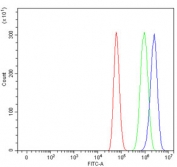 Flow cytometry testing of human U-87 MG cells with FRP-1 antibody at 1ug/million cells (blocked with goat sera); Red=cells alone, Green=isotype control, Blue= FRP-1 antibody.