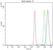 Flow cytometry testing of human MCF7 cells with BRCA1-Associated Protein 1 antibody at 1ug/million cells (blocked with goat sera); Red=cells alone, Green=isotype control, Blue= BRCA1-Associated Protein 1 antibody.