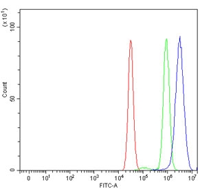 Flow cytometry testing of human MCF7 cells with BRCA1-Associated Protein 1 antibody at 1ug/million cells (blocked with goat sera); Red=cells alone, Green=isotype control, Blue= BRCA1-Associated Protein 1 antibody.~
