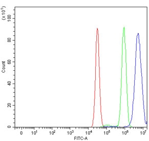 Flow cytometry testing of human MCF7 cells with BEX3 antibody at 1ug/million cells (blocked with goat sera); Red=cells alone, Green=isotype control, Blue= BEX3 antibody.~