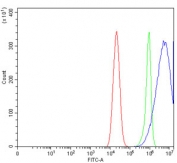 Flow cytometry testing of human Caco-2 cells with Caspase-3 antibody at 1ug/million cells (blocked with goat sera); Red=cells alone, Green=isotype control, Blue= Caspase-3 antibody.