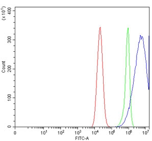 Flow cytometry testing of human Caco-2 cells with Caspase-3 antibody at 1ug/million cells (blocked with goat sera); Red=cells alone, Green=isotype control, Blue= Caspase-3 antibody.