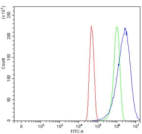 Flow cytometry testing of human U-251 cells with Caspase-8 antibody at 1ug/million cells (blocked with goat sera); Red=cells alone, Green=isotype control, Blue= Caspase-8 antibody.~