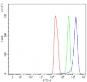 Flow cytometry testing of rat C6 cells with Ccl21 antibody at 1ug/million cells (blocked with goat sera); Red=cells alone, Green=isotype control, Blue= Ccl21 antibody.