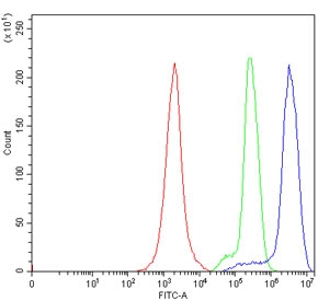 Flow cytometry testing of human JK-1 cells with CD9 antibody at 1ug/million cells (blocked with goat sera); Red=cells alone, Green=isotype control, Blue= CD9 antibody.