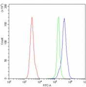 Flow cytometry testing of mouse PBM cells with Cd27 antibody at 1ug/million cells (blocked with goat sera); Red=cells alone, Green=isotype control, Blue= Cd27 antibody.