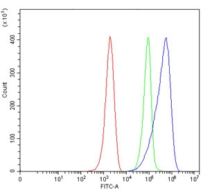 Flow cytometry testing of mouse ANA-1 cells with CD80 antibody at 1ug/million cells (blocked with goat sera); Red=cells alone, Green=isotype control, Blue= CD80 antibody.~