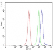 Flow cytometry testing of mouse ANA-1 cells with Cd86 antibody at 1ug/million cells (blocked with goat sera); Red=cells alone, Green=isotype control, Blue= Cd86 antibody.