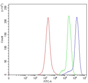 Flow cytometry testing of human Jurkat cells with DNAM-1 antibody at 1ug/million cells (blocked with goat sera); Red=cells alone, Green=isotype control, Blue= DNAM-1 antibody.~