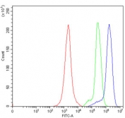 Flow cytometry testing of human Jurkat cells with DNAM-1 antibody at 1ug/million cells (blocked with goat sera); Red=cells alone, Green=isotype control, Blue= DNAM-1 antibody.