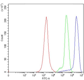 Flow cytometry testing of human Jurkat cells with Calmegin antibody at 1ug/million cells (blocked with goat sera); Red=cells alone, Green=isotype control, Blue= Calmegin antibody.