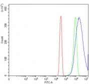 Flow cytometry testing of human SiHa cells with CPEB4 antibody at 1ug/million cells (blocked with goat sera); Red=cells alone, Green=isotype control, Blue= CPEB4 antibody.