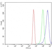 Flow cytometry testing of human U-251 cells with CPT1-L antibody at 1ug/million cells (blocked with goat sera); Red=cells alone, Green=isotype control, Blue= CPT1-L antibody.