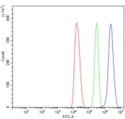 Flow cytometry testing of mouse HEPA1-6 cells with Cathepsin L antibody at 1ug/million cells (blocked with goat sera); Red=cells alone, Green=isotype control, Blue= Cathepsin L antibody.